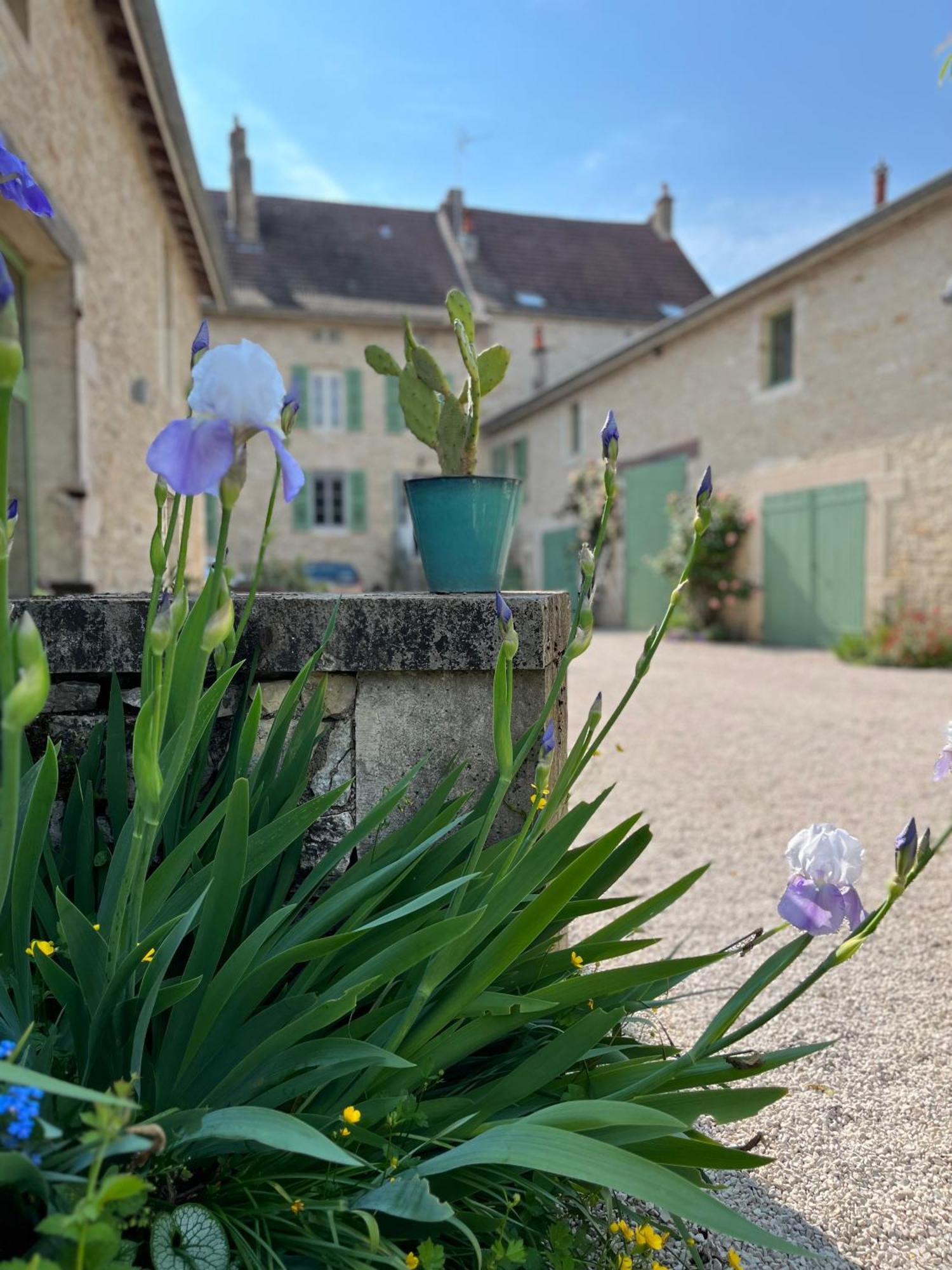 Maison Tassigny Meursault Buitenkant foto